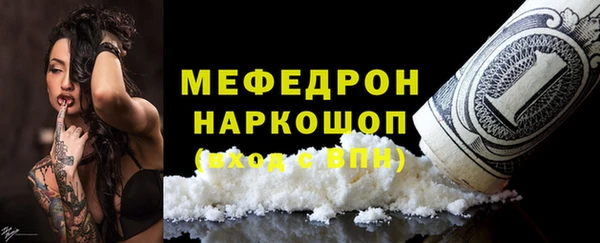 индика Алексин