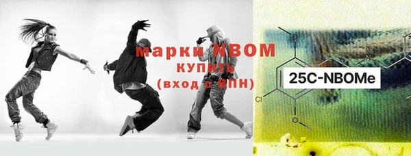 индика Алексин