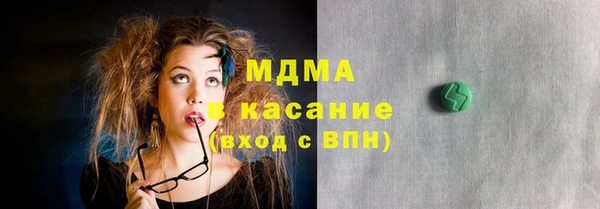 индика Алексин