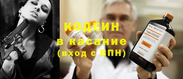 индика Алексин