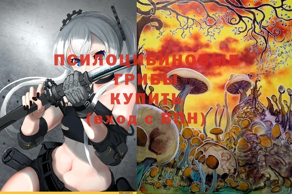 индика Алексин