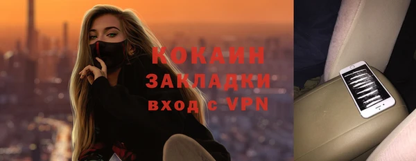 индика Алексин