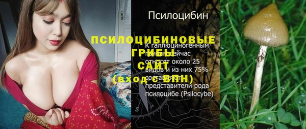 индика Алексин
