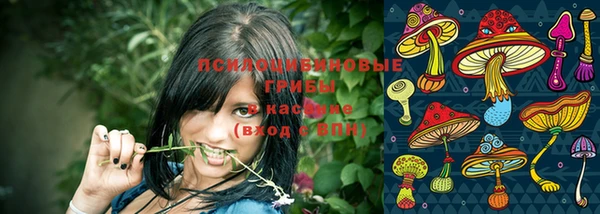 МДПВ Алексеевка