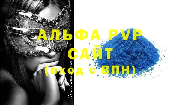 индика Алексин