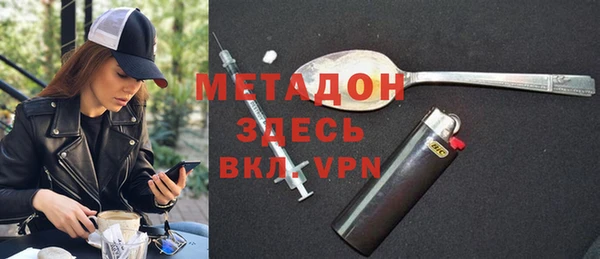 индика Алексин
