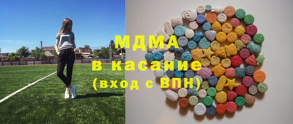 индика Алексин
