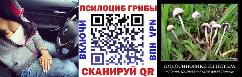 Галлюциногенные грибы ЛСД  mega онион  Коркино 